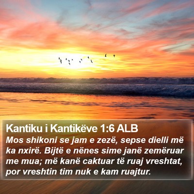 Kantiku i Kantikëve 1:6 ALB Bible Verse Image