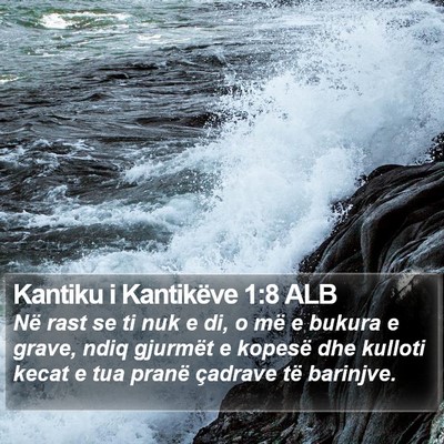 Kantiku i Kantikëve 1:8 ALB Bible Verse Image