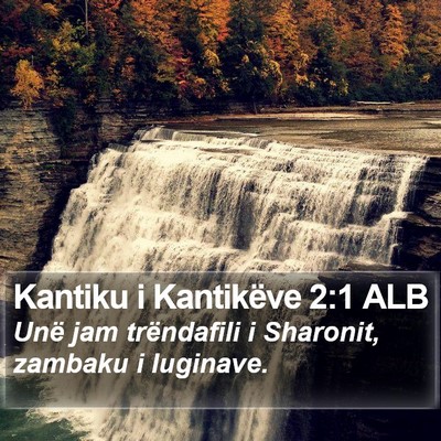 Kantiku i Kantikëve 2:1 ALB Bible Verse Image