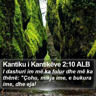 Kantiku i Kantikëve 2:10 ALB Bible Verse Image