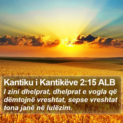 Kantiku i Kantikëve 2:15 ALB Bible Verse Image