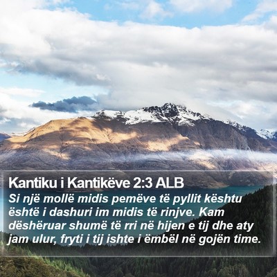 Kantiku i Kantikëve 2:3 ALB Bible Verse Image