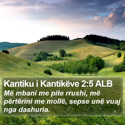 Kantiku i Kantikëve 2:5 ALB Bible Verse Image