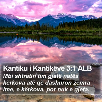 Kantiku i Kantikëve 3:1 ALB Bible Verse Image
