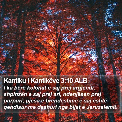 Kantiku i Kantikëve 3:10 ALB Bible Verse Image