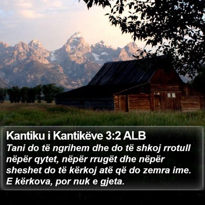 Kantiku i Kantikëve 3:2 ALB Bible Verse Image