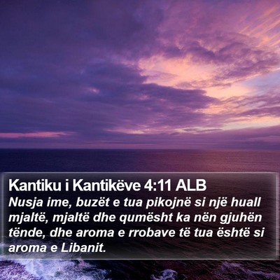 Kantiku i Kantikëve 4:11 ALB Bible Verse Image