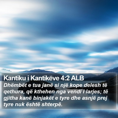 Kantiku i Kantikëve 4:2 ALB Bible Verse Image