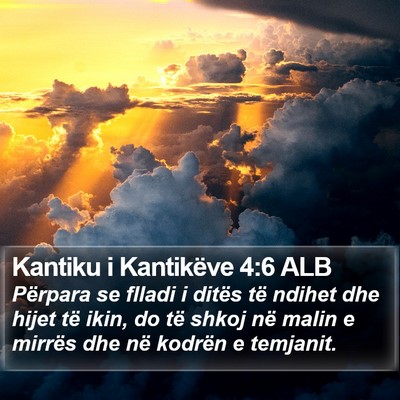 Kantiku i Kantikëve 4:6 ALB Bible Verse Image