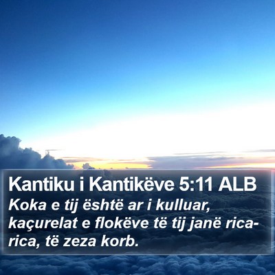 Kantiku i Kantikëve 5:11 ALB Bible Verse Image