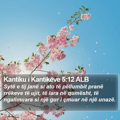 Kantiku i Kantikëve 5:12 ALB Bible Verse Image