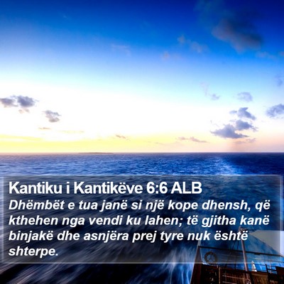 Kantiku i Kantikëve 6:6 ALB Bible Verse Image