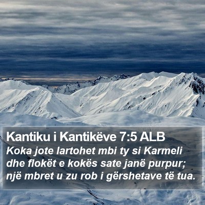 Kantiku i Kantikëve 7:5 ALB Bible Verse Image