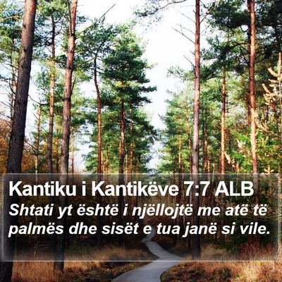 Kantiku i Kantikëve 7:7 ALB Bible Verse Image