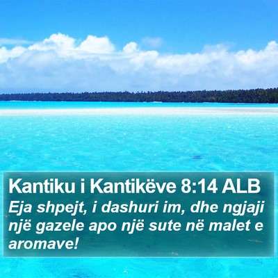 Kantiku i Kantikëve 8:14 ALB Bible Verse Image