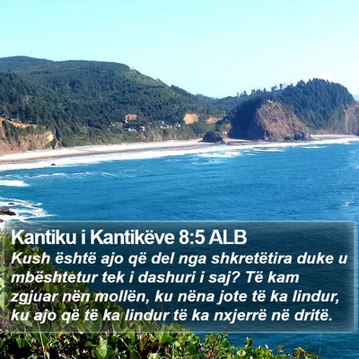 Kantiku i Kantikëve 8:5 ALB Bible Verse Image
