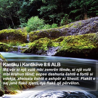 Kantiku i Kantikëve 8:6 ALB Bible Verse Image