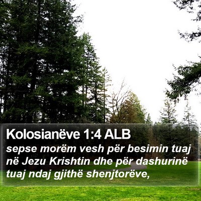 Kolosianëve 1:4 ALB Bible Verse Image