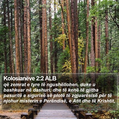 Kolosianëve 2:2 ALB Bible Verse Image