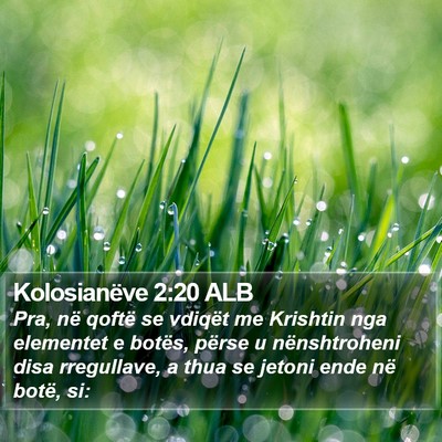 Kolosianëve 2:20 ALB Bible Verse Image