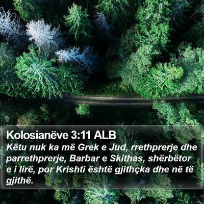 Kolosianëve 3:11 ALB Bible Verse Image