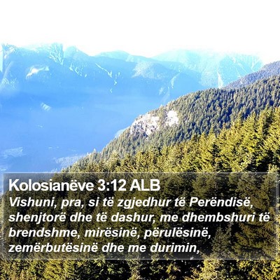 Kolosianëve 3:12 ALB Bible Verse Image