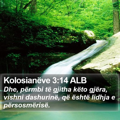 Kolosianëve 3:14 ALB Bible Verse Image