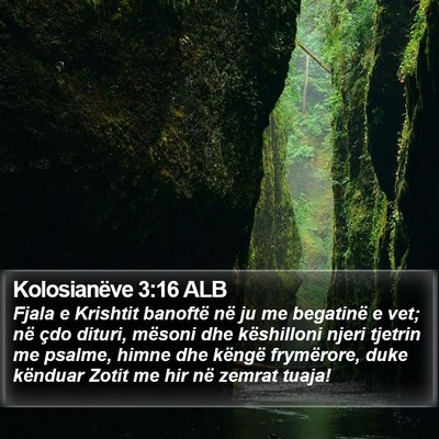 Kolosianëve 3:16 ALB Bible Verse Image