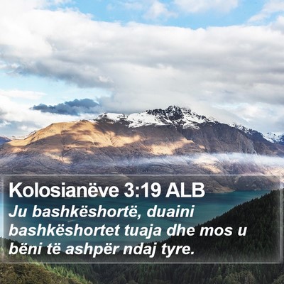 Kolosianëve 3:19 ALB Bible Verse Image