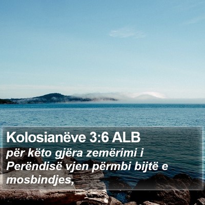 Kolosianëve 3:6 ALB Bible Verse Image
