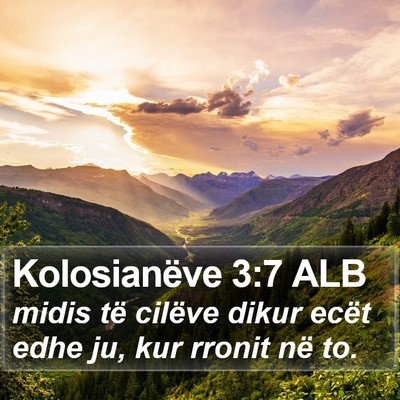 Kolosianëve 3:7 ALB Bible Verse Image