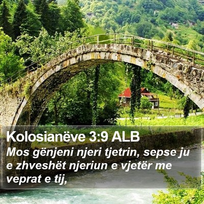 Kolosianëve 3:9 ALB Bible Verse Image