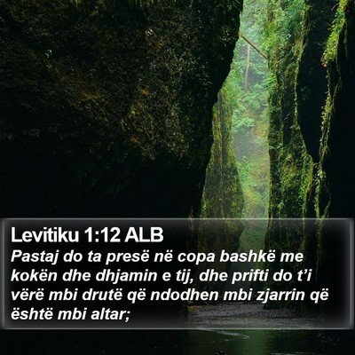Levitiku 1:12 ALB Bible Verse Image