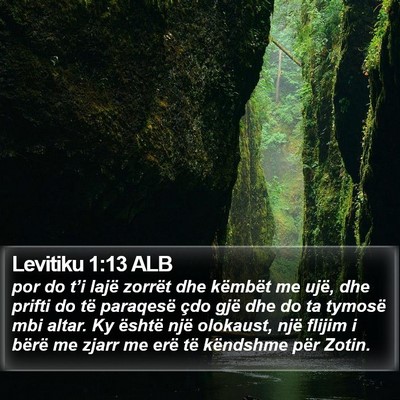 Levitiku 1:13 ALB Bible Verse Image
