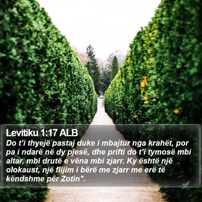 Levitiku 1:17 ALB Bible Verse Image