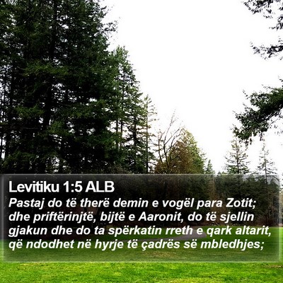 Levitiku 1:5 ALB Bible Verse Image