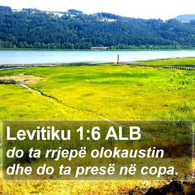 Levitiku 1:6 ALB Bible Verse Image