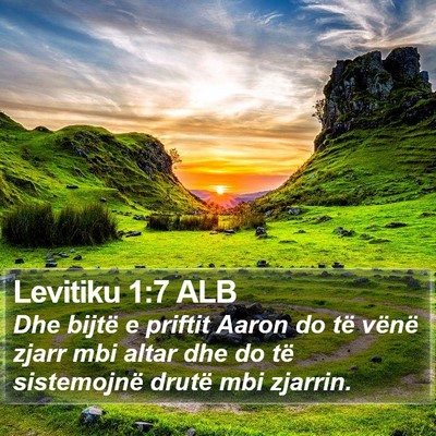 Levitiku 1:7 ALB Bible Verse Image