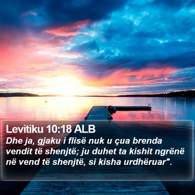 Levitiku 10:18 ALB Bible Verse Image