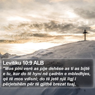 Levitiku 10:9 ALB Bible Verse Image