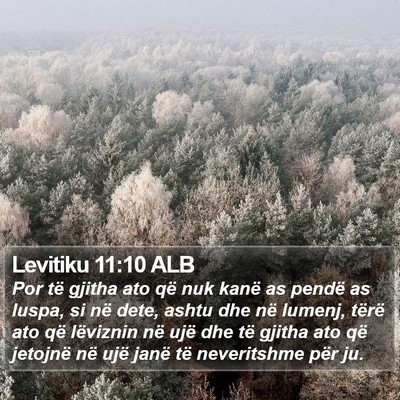Levitiku 11:10 ALB Bible Verse Image