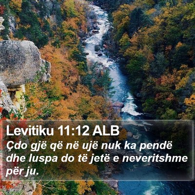 Levitiku 11:12 ALB Bible Verse Image