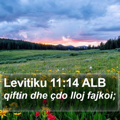 Levitiku 11:14 ALB Bible Verse Image