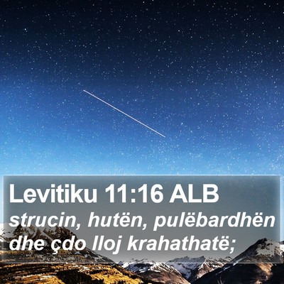 Levitiku 11:16 ALB Bible Verse Image