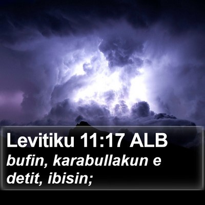 Levitiku 11:17 ALB Bible Verse Image