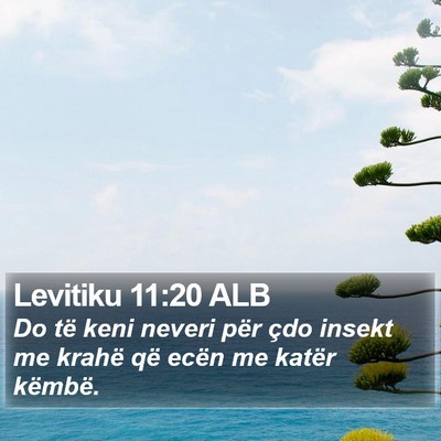Levitiku 11:20 ALB Bible Verse Image