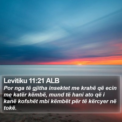 Levitiku 11:21 ALB Bible Verse Image