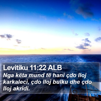 Levitiku 11:22 ALB Bible Verse Image