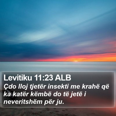 Levitiku 11:23 ALB Bible Verse Image