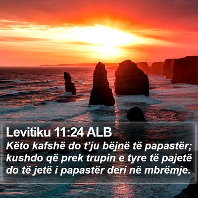 Levitiku 11:24 ALB Bible Verse Image